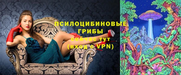прущая мука Арсеньев