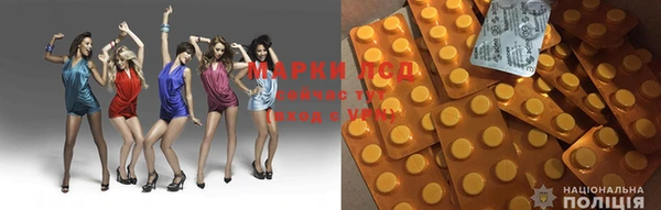 прущая мука Арсеньев
